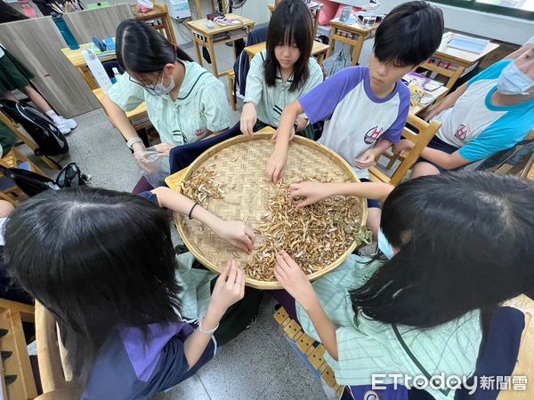 這所學校頂樓長出豆子！國中生開心採收製成豆花　師生們好驚艷(另開新視窗)